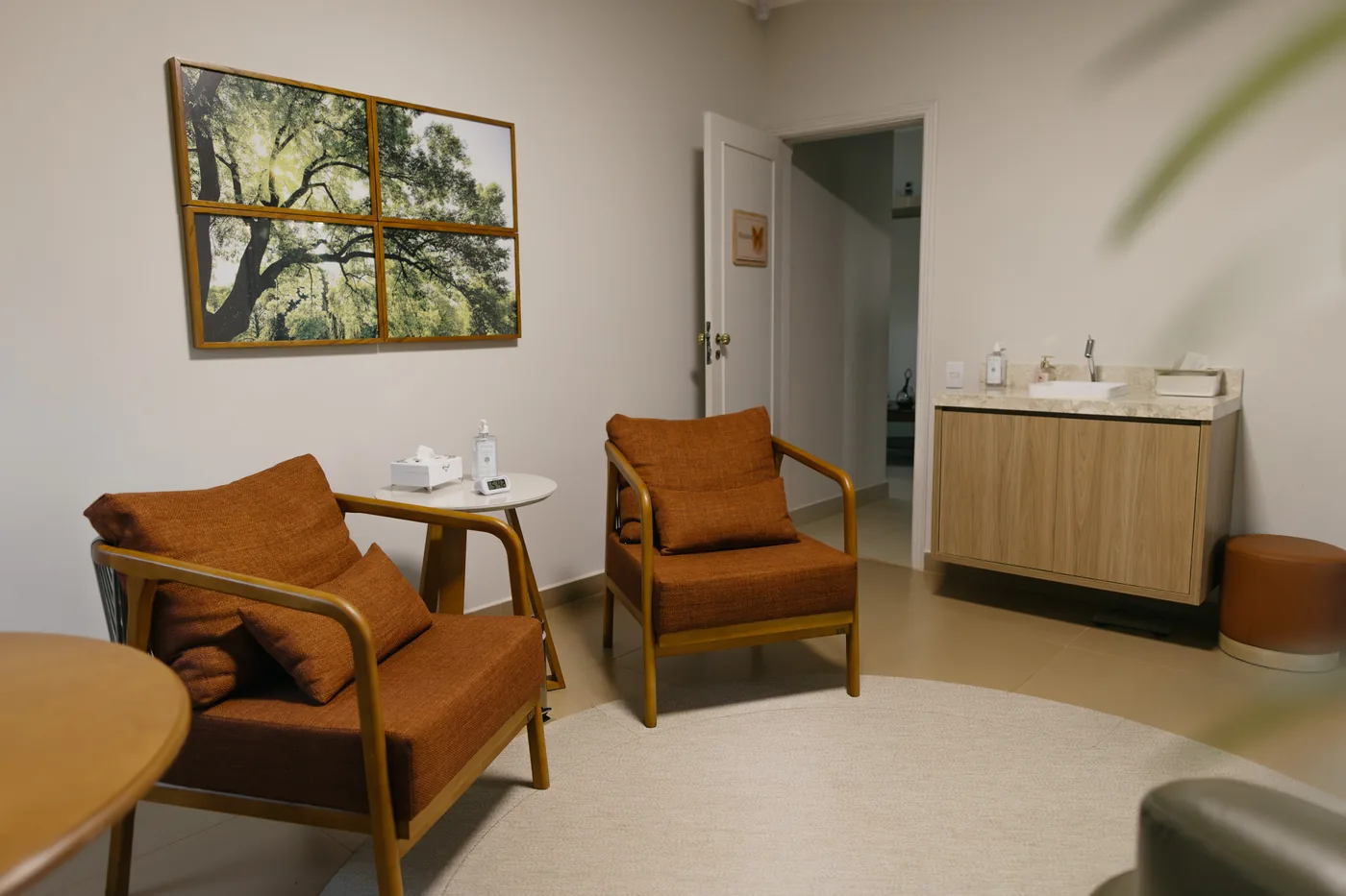 Consultório do Espaço Casulo com poltronas e luz natural